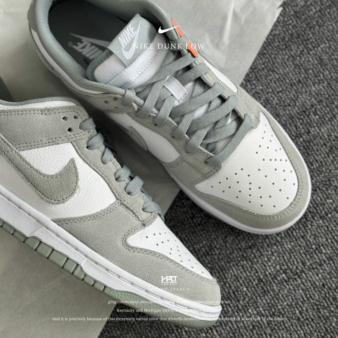 Nike Dunk Low 特殊麂皮版灰白FQ8249-101