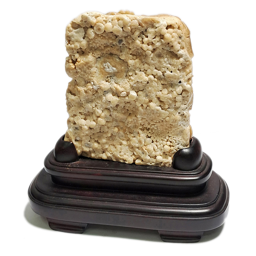 普賢菩薩{頂級}龍宮舍利 A39【十方】153694