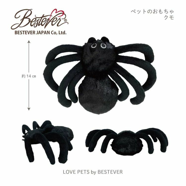 日本Bestever - 蜘蛛