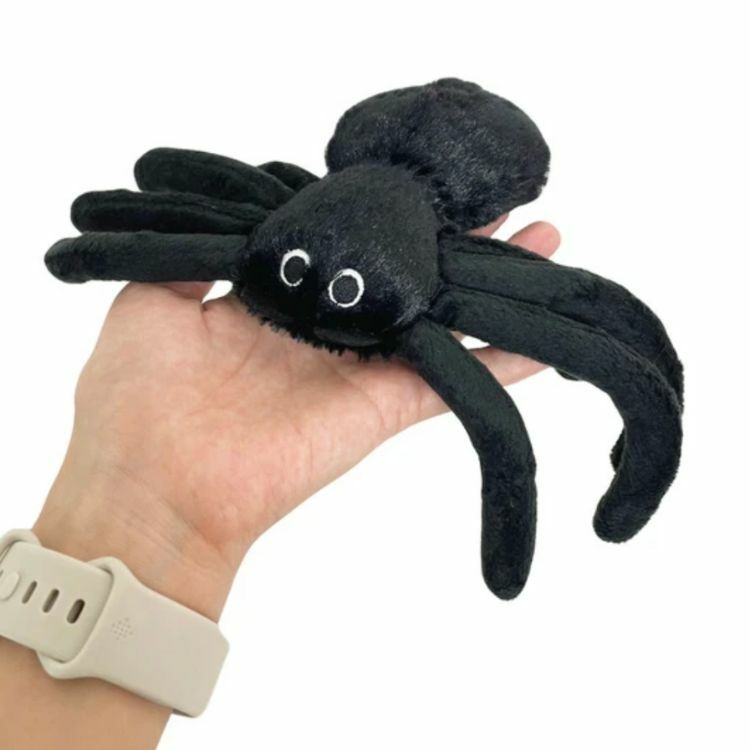 日本Bestever - 蜘蛛