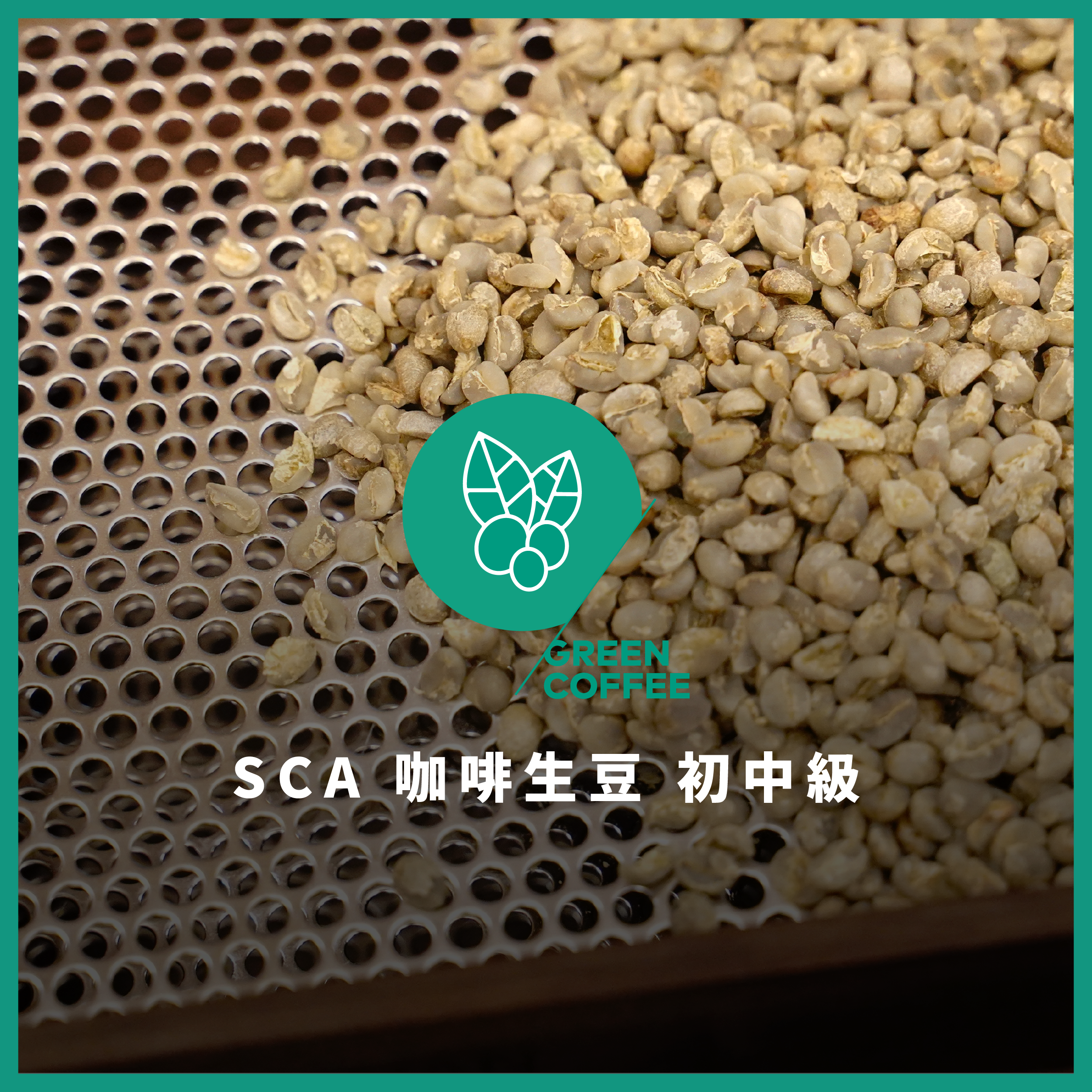 SCA咖啡生豆初中階國際認證－CSP新制課程