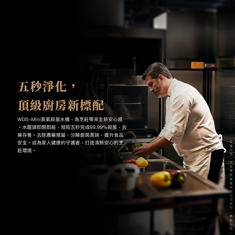 豪星 廚事寶 WDS-Mini 臭氧水殺菌淨化系統