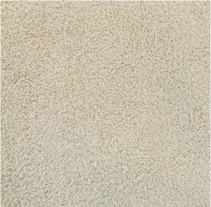 Coody 5.8 室內防滑地毯