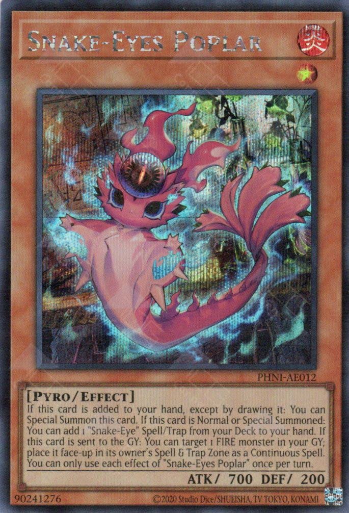 PHNI-AE012 Snake-Eyes Poplar