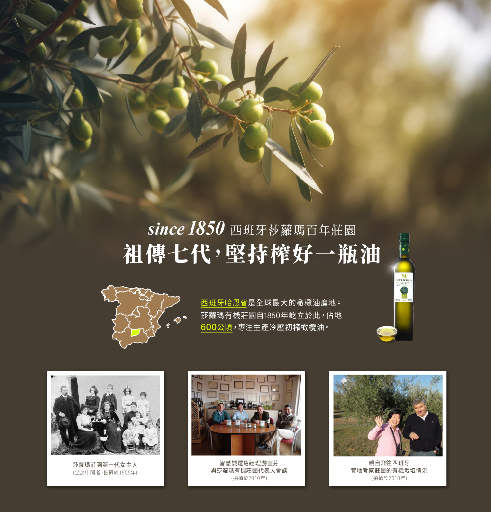 西班牙莎蘿瑪有機橄欖莊園