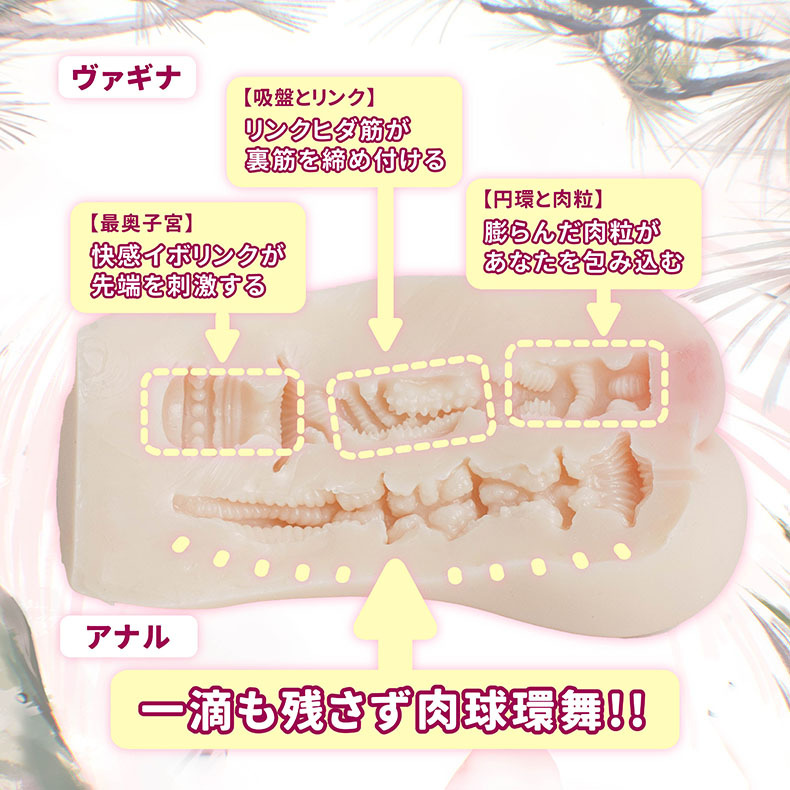 OGC|水著聖女 無垢白虎