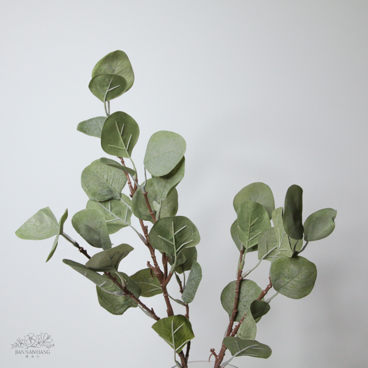 人造葉 圓葉尤加利