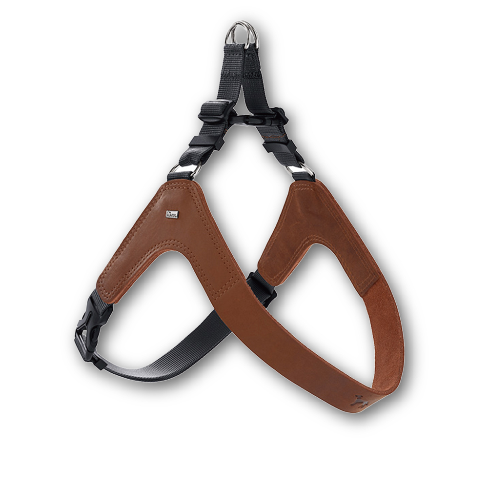 Dimaro 經典尊榮牛皮  快套胸背