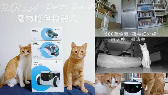 ebo 差別, rola petpal 台灣, ROLA PetPal 寵物陪伴機器人, rola petpal review, rolarola台灣,  rola petpal amazon, enabot rola petpal, enabot