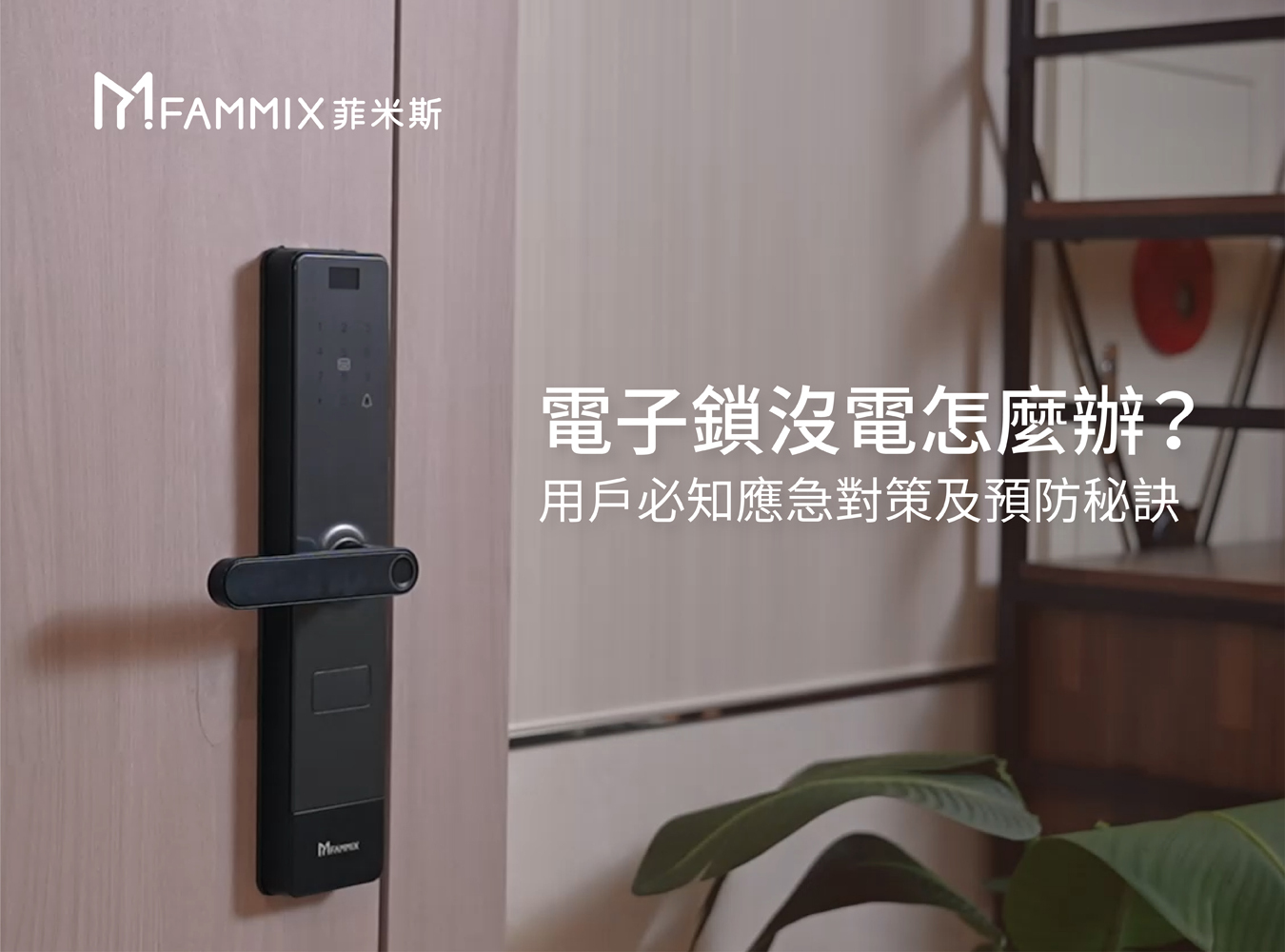 FAMMIX,菲米斯,智慧門鎖.智能門鎖,電子門鎖,指紋門鎖,電子鎖,住家安全,管好你家,aiot智慧物聯,買電子鎖送安裝,電子鎖刷卡分期零利率,電子鎖,電子鎖故障排除常見問題,電子鎖保固推薦,電子鎖到府安裝,電子鎖沒電怎麼辦