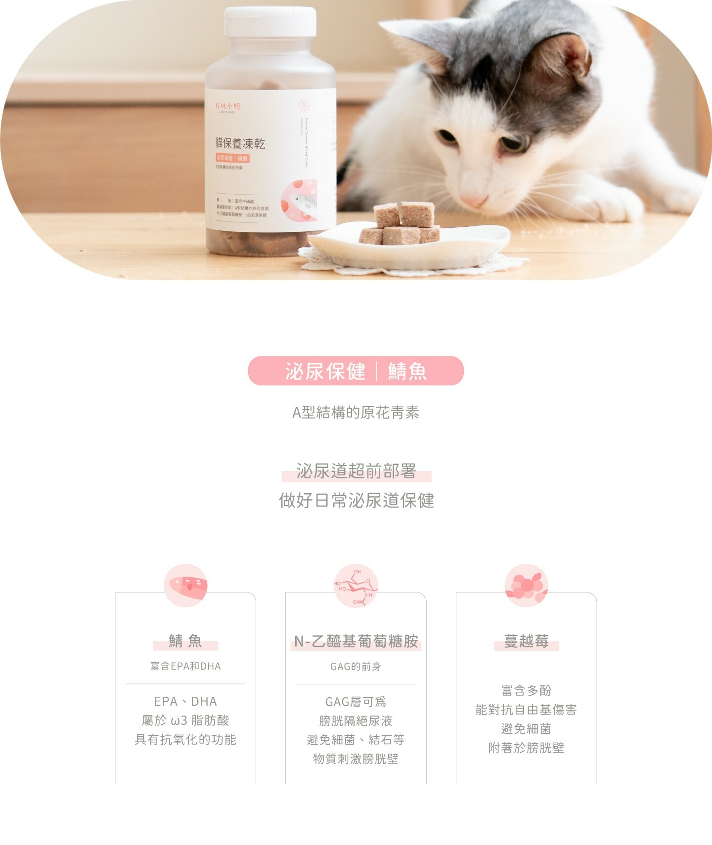 LADY FLAVOR好味小姐，保養凍乾