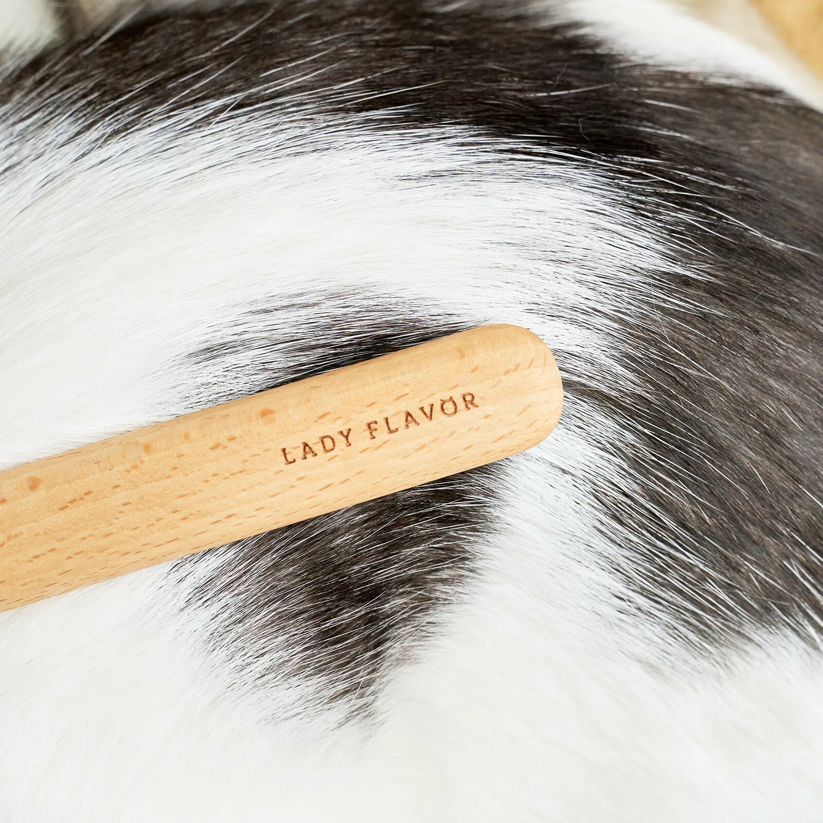 好味小姐，好味不求貓