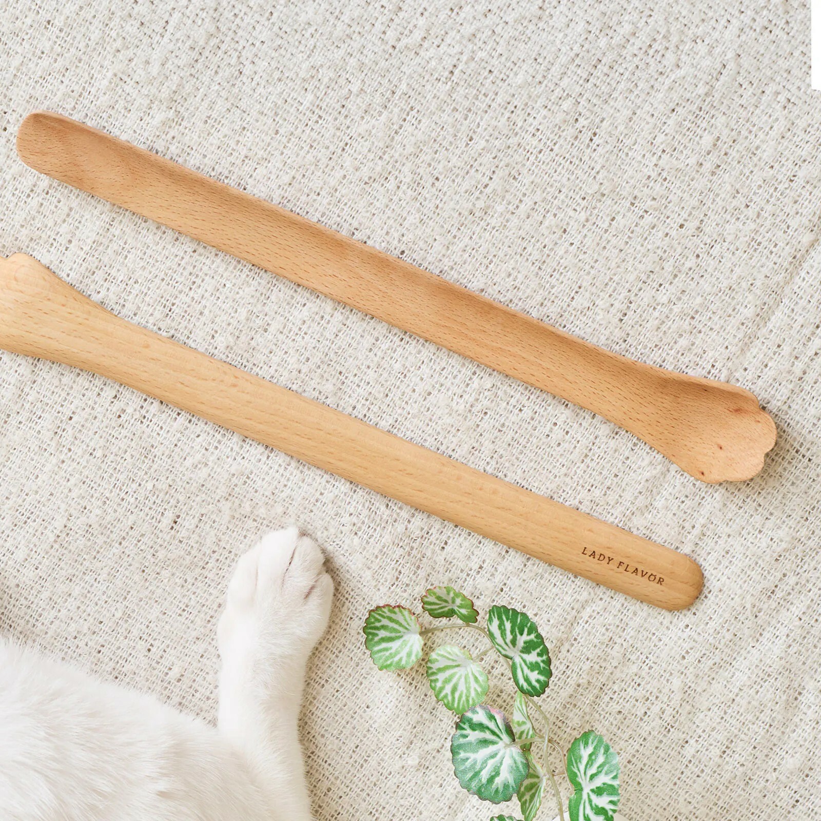 好味小姐，好味不求貓