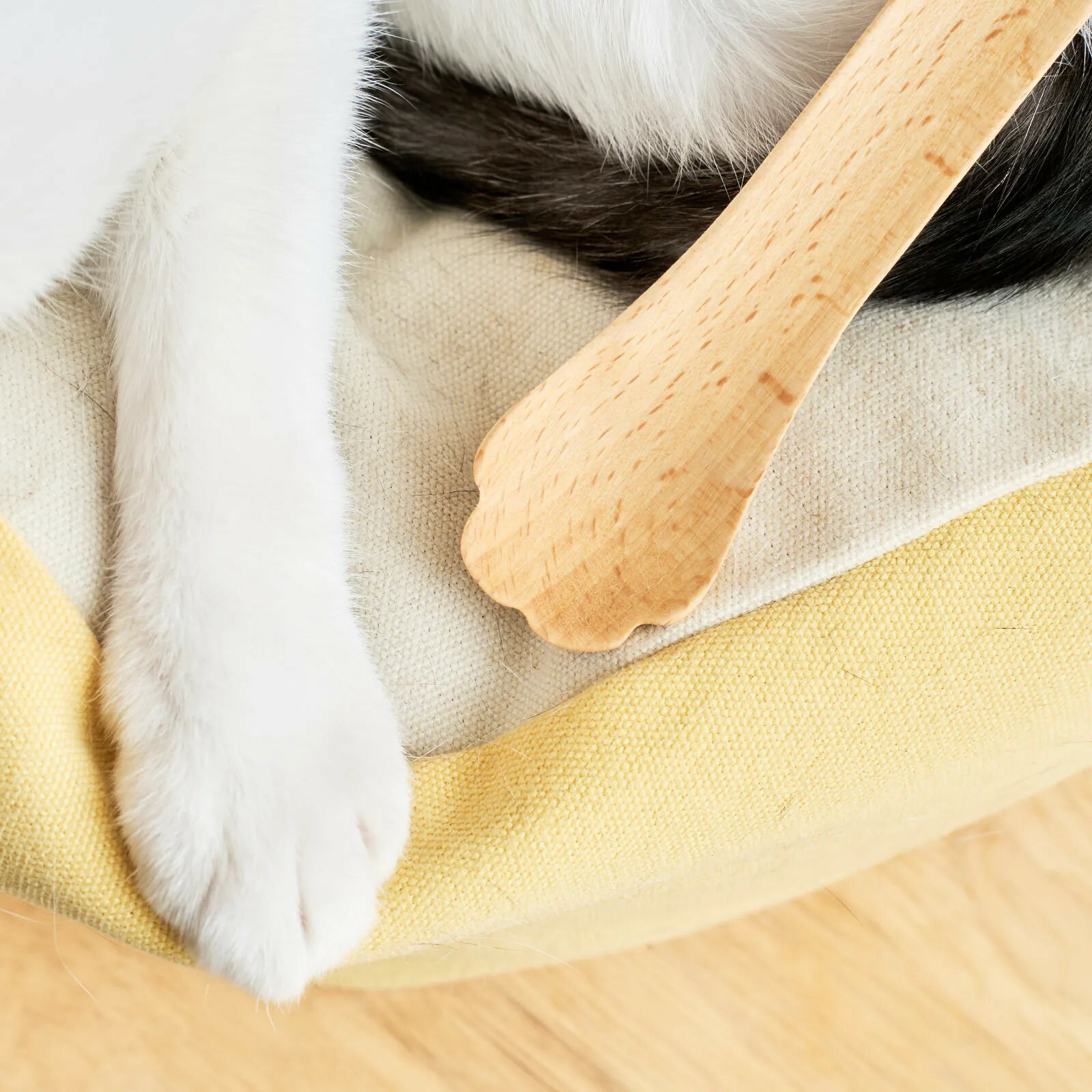 好味小姐，好味不求貓