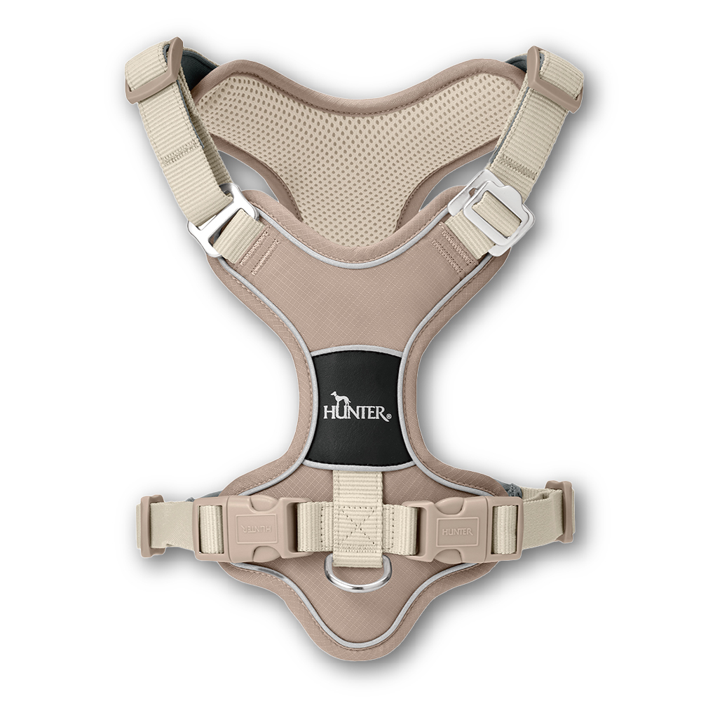 Divo Up 探索極致 胸背帶