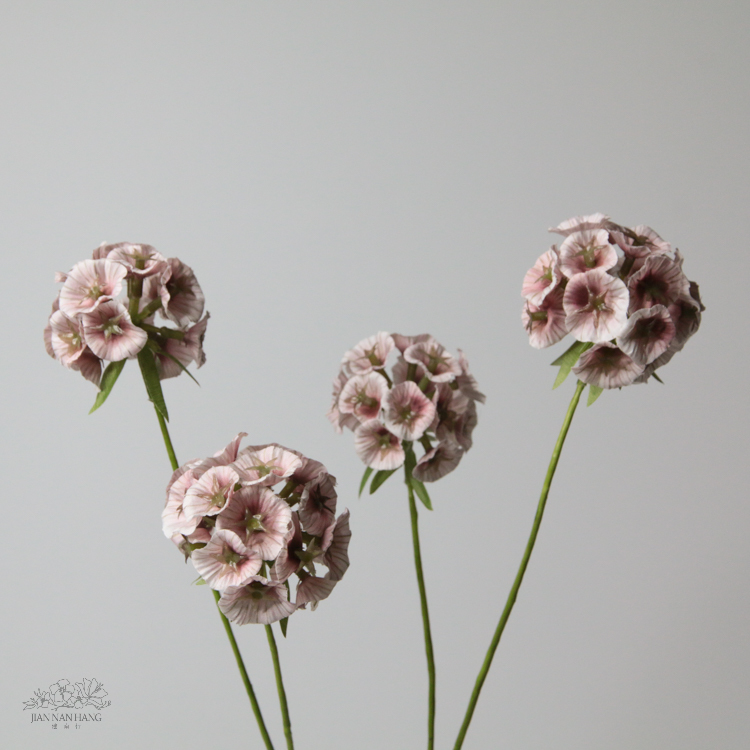 人造花 Scabiosa 松蟲果 3色