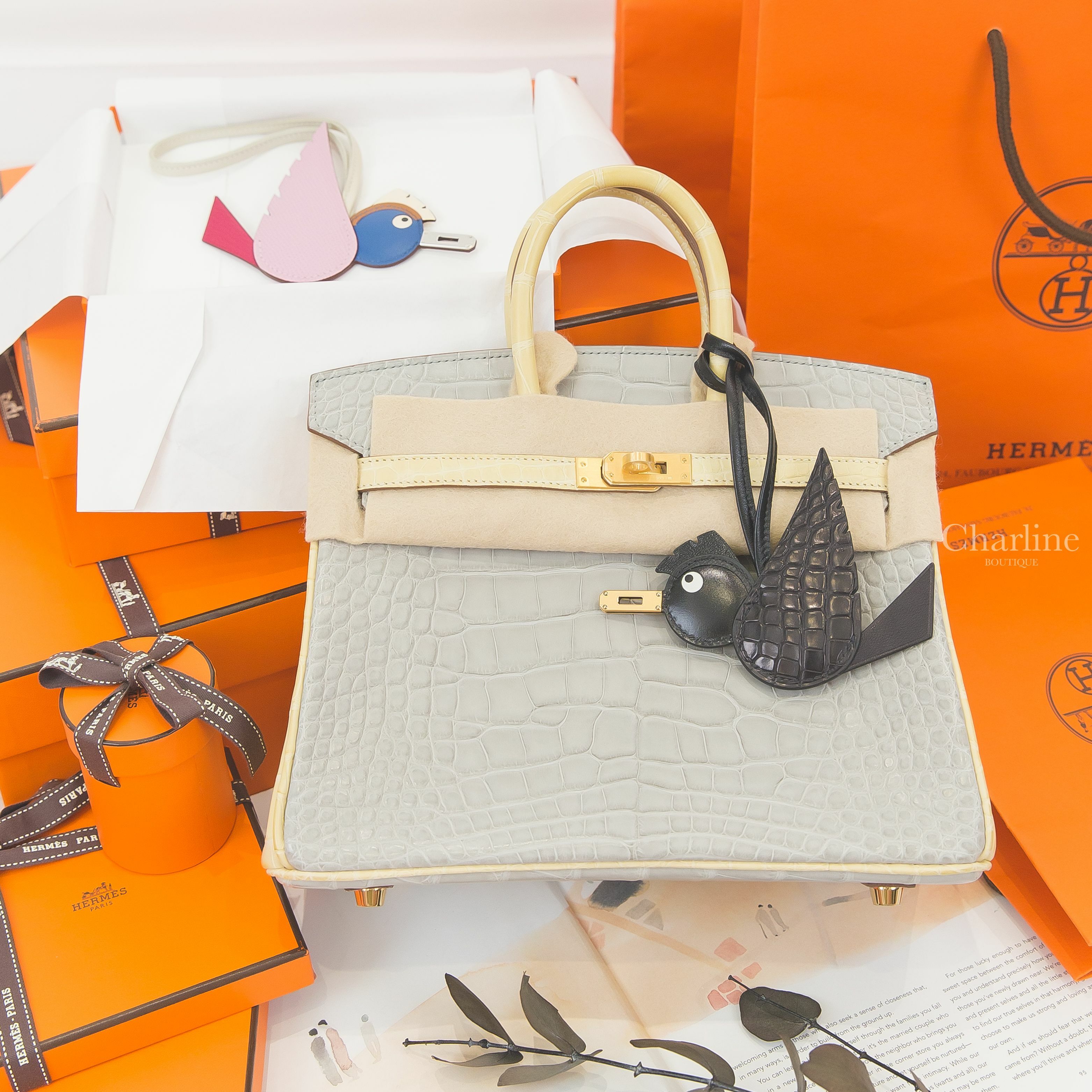 Hermès Birkin 25cm 珍珠灰拼香草霧面方塊鱷魚拉絲金釦鉑金包,Hermès Birdy 黑色金釦鱷魚拼皮革,Hermès Birdy 錦葵粉/嫩芽綠/普魯士藍/焦糖色/奶油白/奶昔白銀釦-Charline Boutique 精品代購