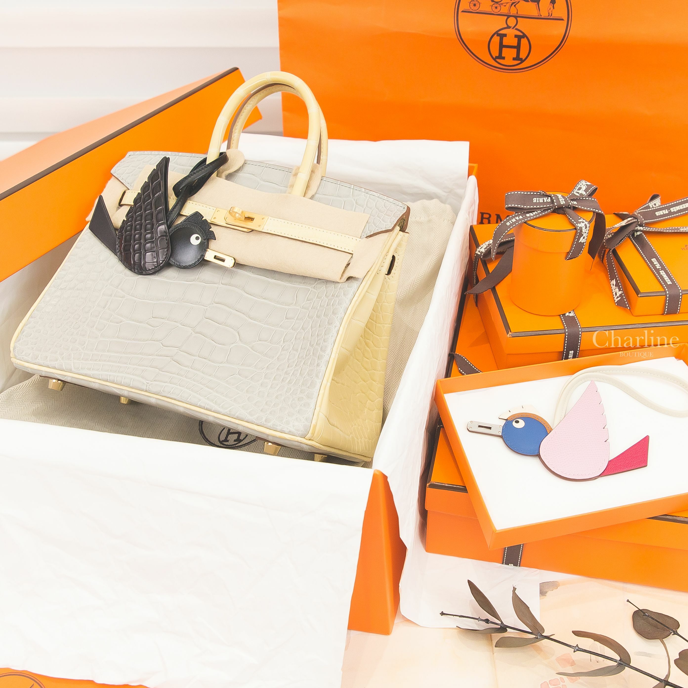 Hermès Birkin 25cm 珍珠灰拼香草霧面方塊鱷魚拉絲金釦鉑金包,Hermès Birdy 黑色金釦鱷魚拼皮革,Hermès Birdy 錦葵粉/嫩芽綠/普魯士藍/焦糖色/奶油白/奶昔白銀釦-Charline Boutique 精品代購