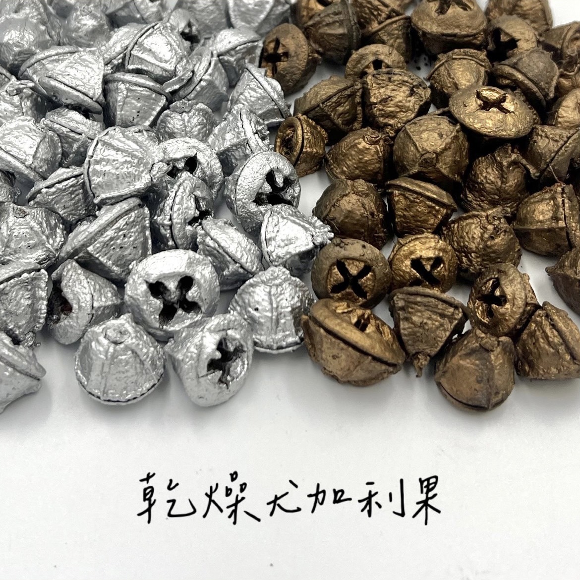 乾燥尤加利果(包)