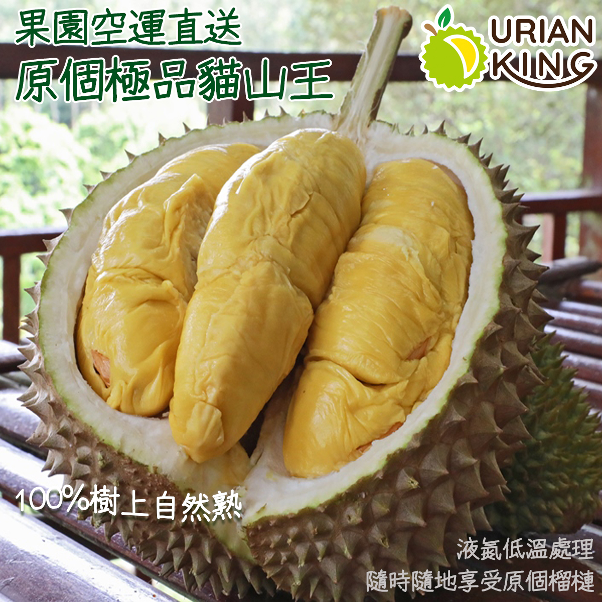 石榴 GOLDTHON - 馬來西亞原個D197貓山王榴槤(1.4kg)(急凍)