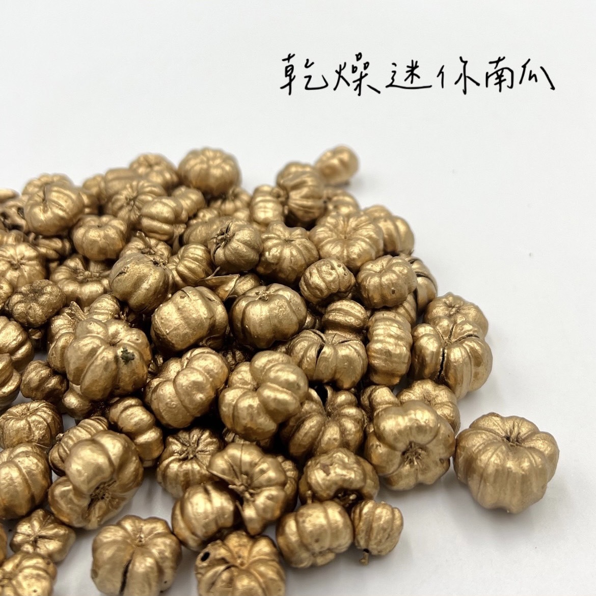 乾燥迷你南瓜(金色/原色)