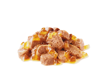 Royal Canin Intense Beauty Care Adult Cat  ．85g