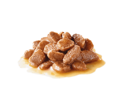 Royal Canin Digest Sensitive Care Adult Cat ．85g