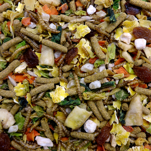 NPF 蜜袋鼯蔬果糧 - 220g