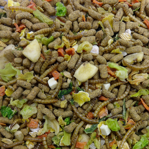 NPF 刺蝟蔬果糧 - 200g