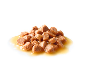 Royal Canin Kitten．85g