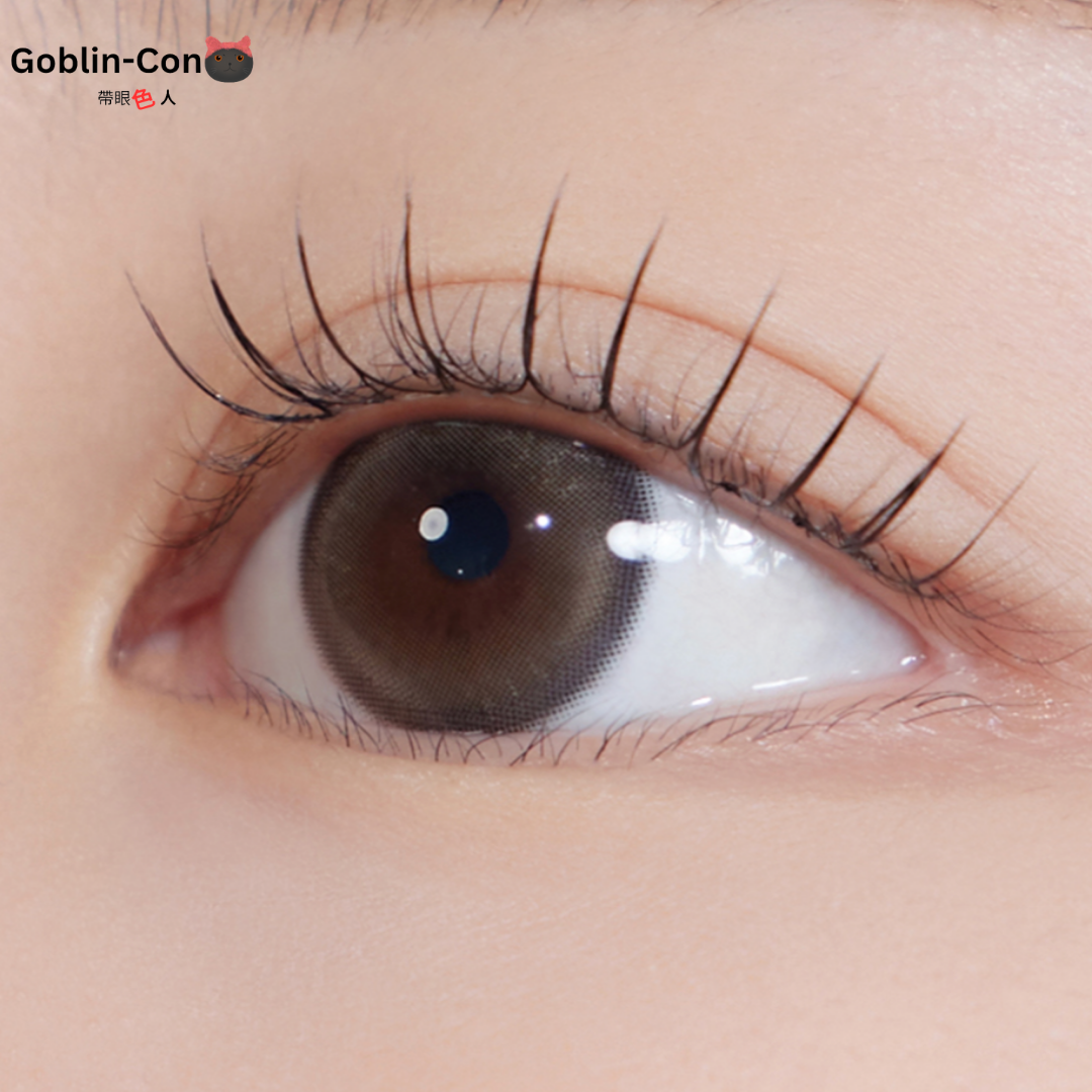 [月拋] Hapa Kristin Bean Kristin 1 Month Short Brown 濃縮棕 月拋 |每盒2片