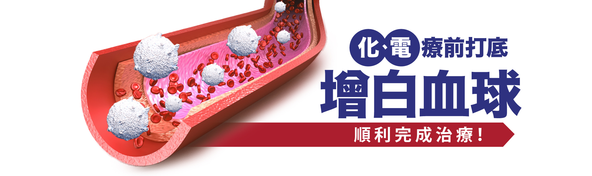 「極•長崎野生桑黃」化、電療前打底 增白血球