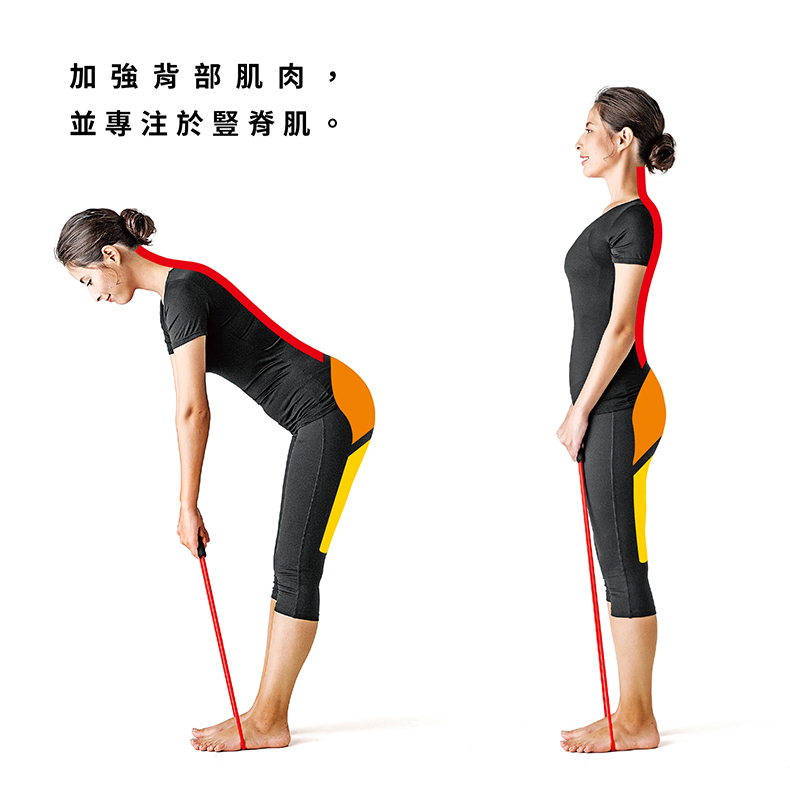 erugam｜美姿拉筋繩｜基礎 進階｜拉力繩｜居家健身器材｜運動器材