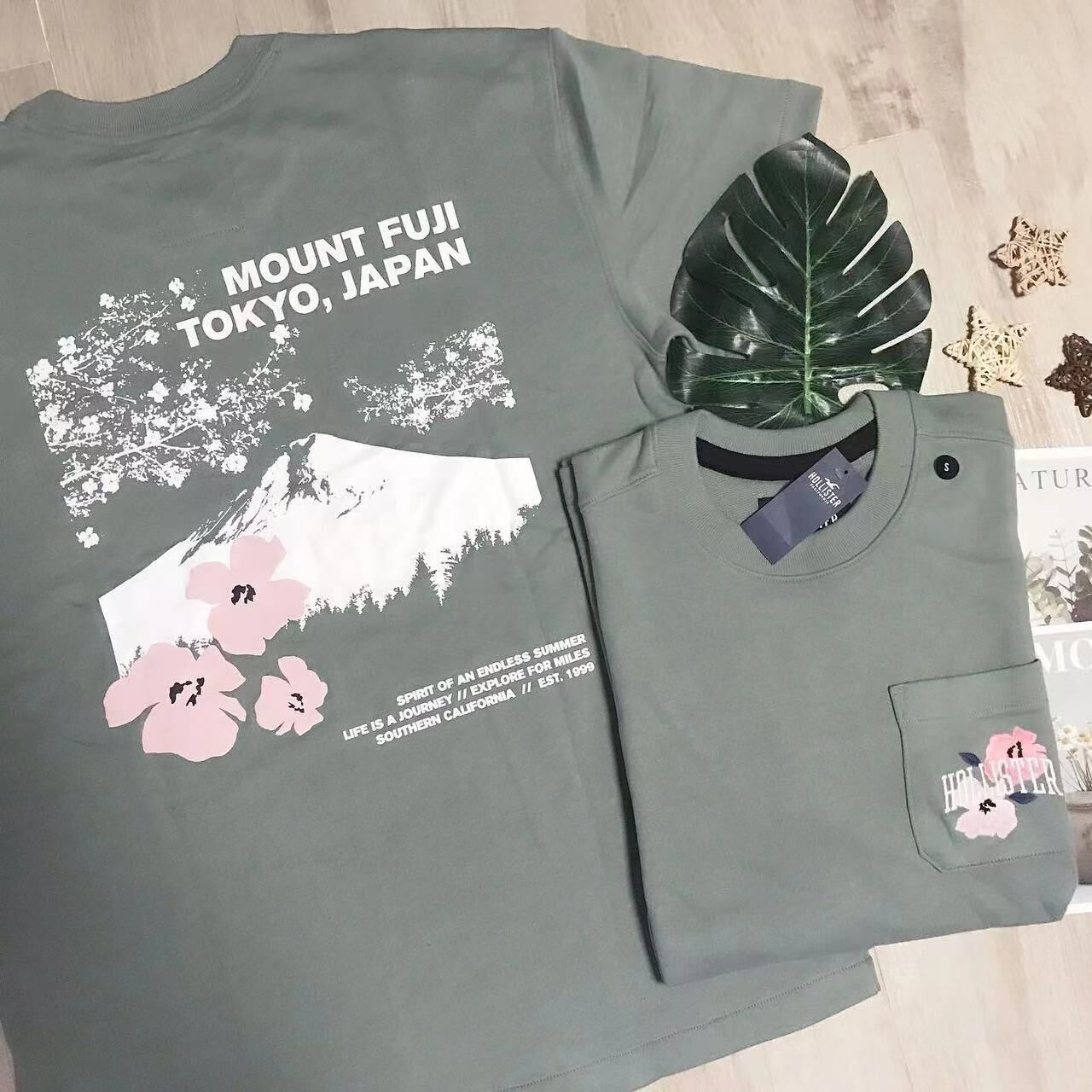 HOLLISTER FLORAL BACK PRINT TEE櫻花系列限定款