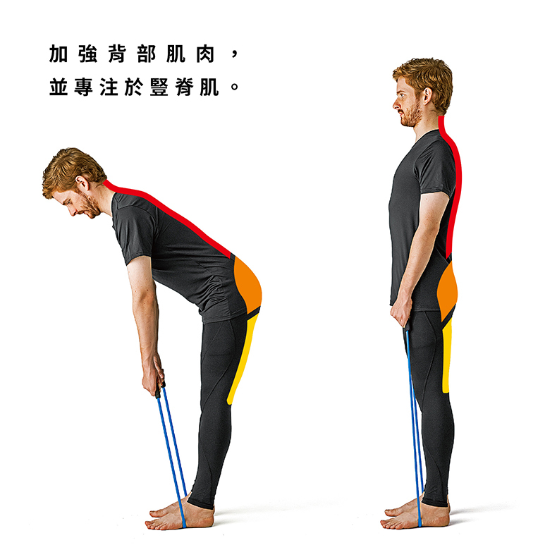 erugam｜美姿拉筋繩｜基礎 進階｜拉力繩｜居家健身器材｜運動器材