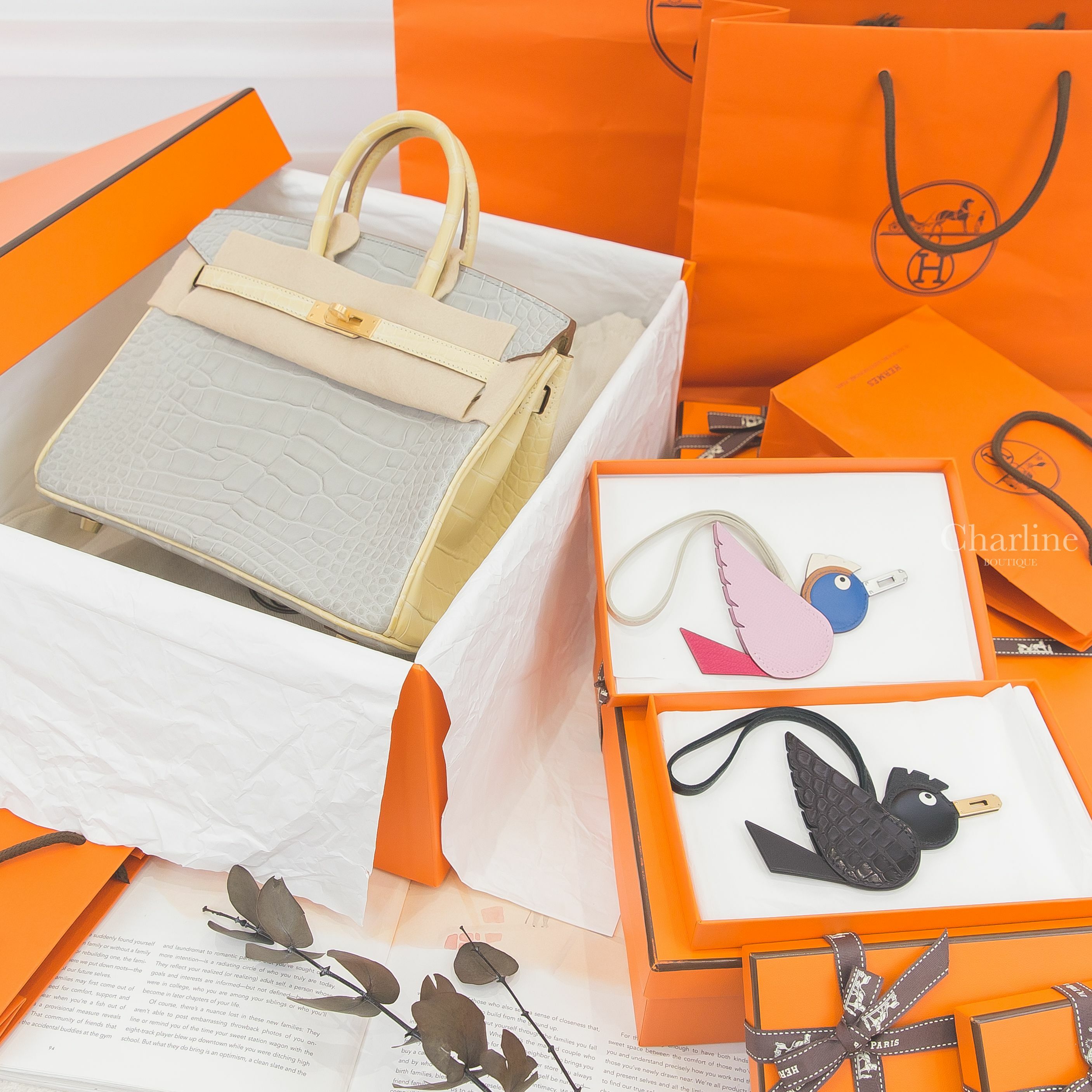Hermès Birkin 25cm 珍珠灰拼香草霧面方塊鱷魚拉絲金釦鉑金包,Hermès Birdy 黑色金釦鱷魚拼皮革,Hermès Birdy 錦葵粉/嫩芽綠/普魯士藍/焦糖色/奶油白/奶昔白銀釦-Charline Boutique 精品代購