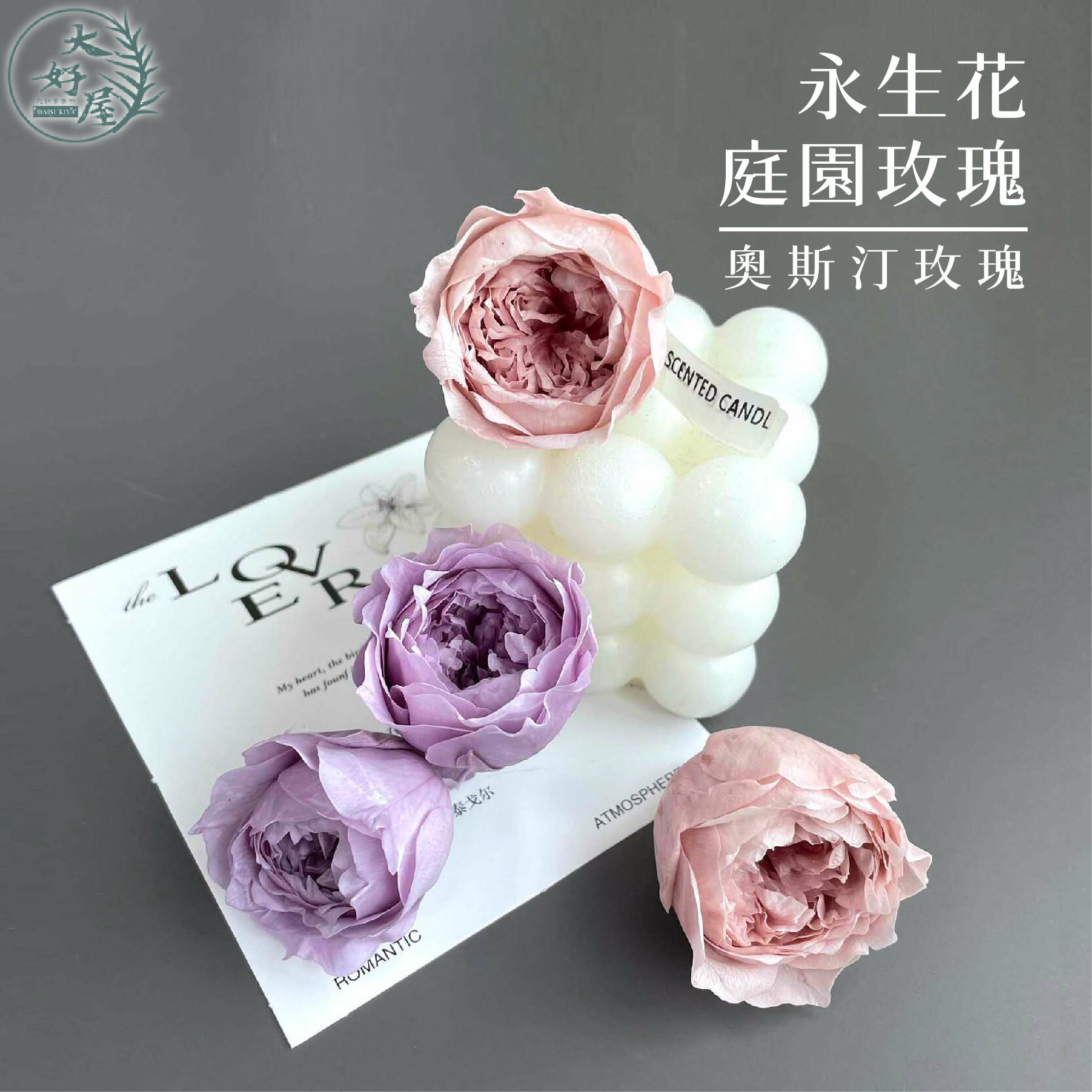 永生庭園玫瑰 (永生奧斯汀玫瑰)