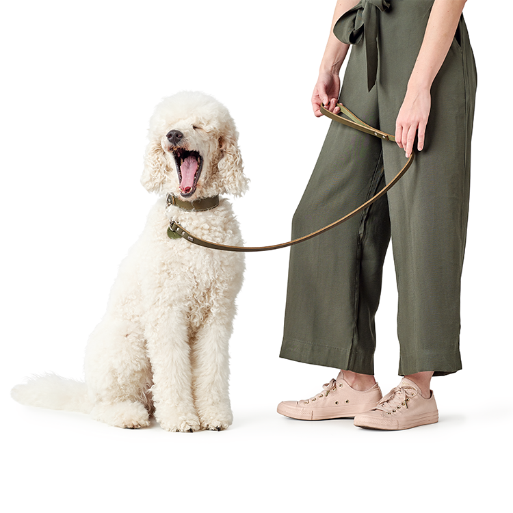 Aalborg 經典牛皮 牽繩