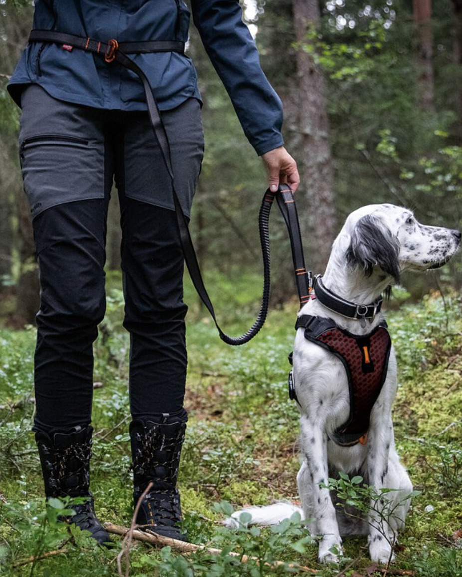 【Non-stop dogwear】BUNGEE 彈力運動牽繩 (可調節款)