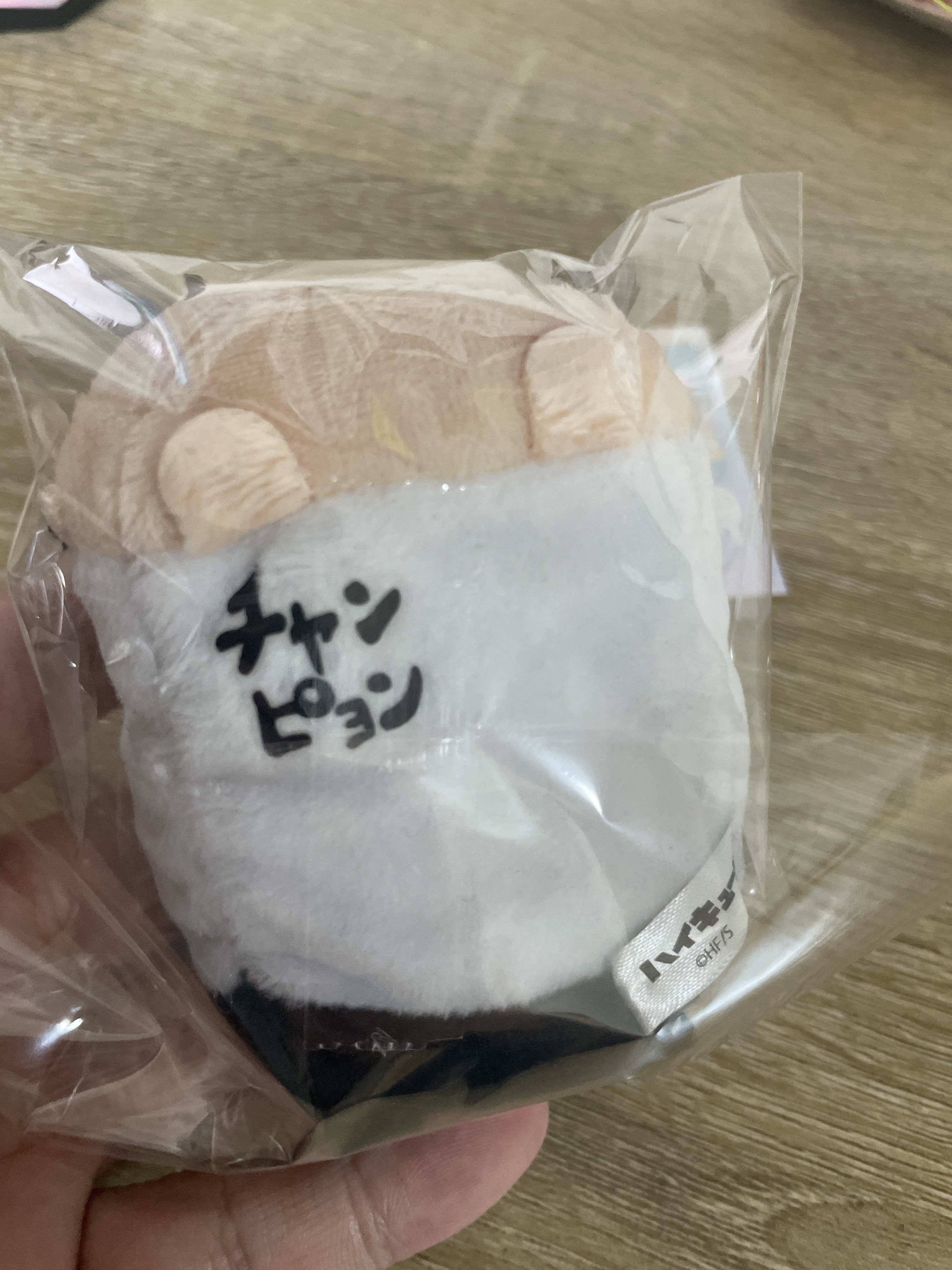 排球少年 岩泉 公仔#114