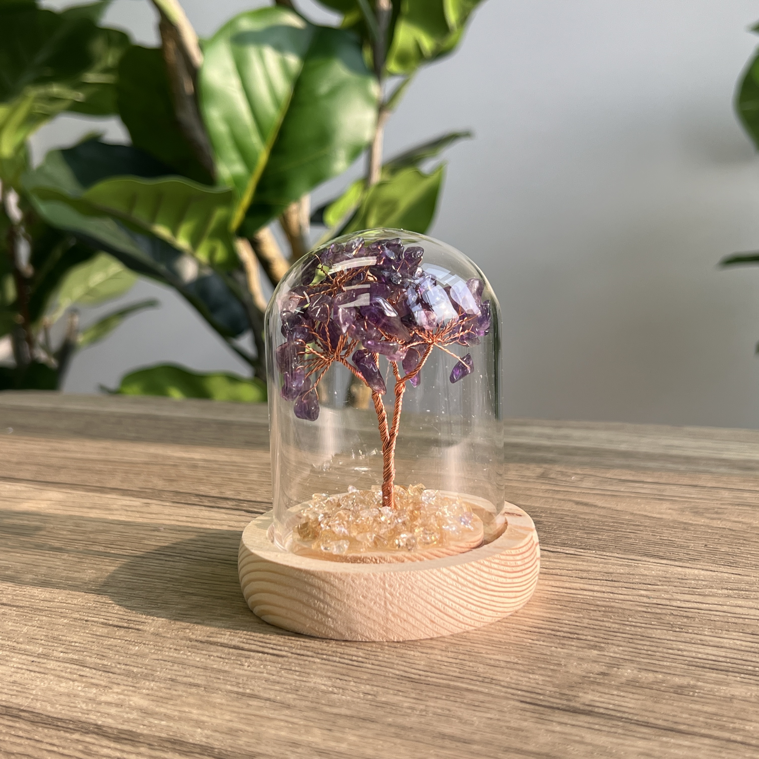 紫水晶招財樹連瓶