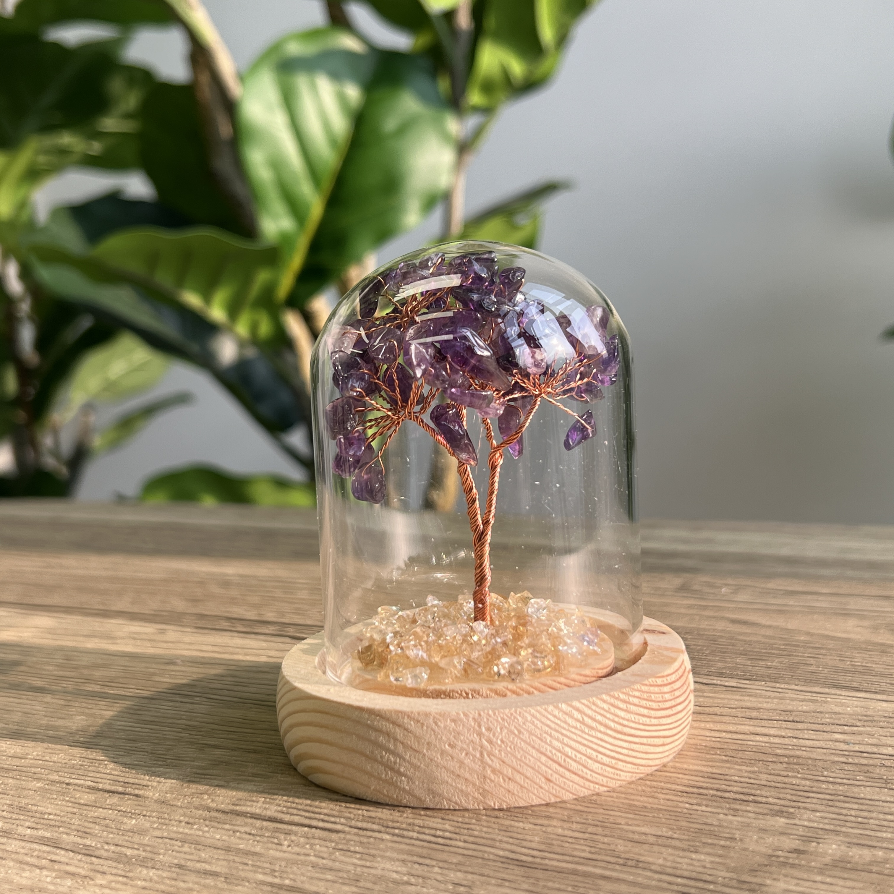 紫水晶招財樹連瓶