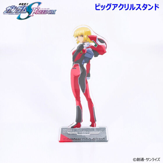 227316 Pbandai 預訂 2025/5月 機動戦士ガンダムSEED FREEDOM