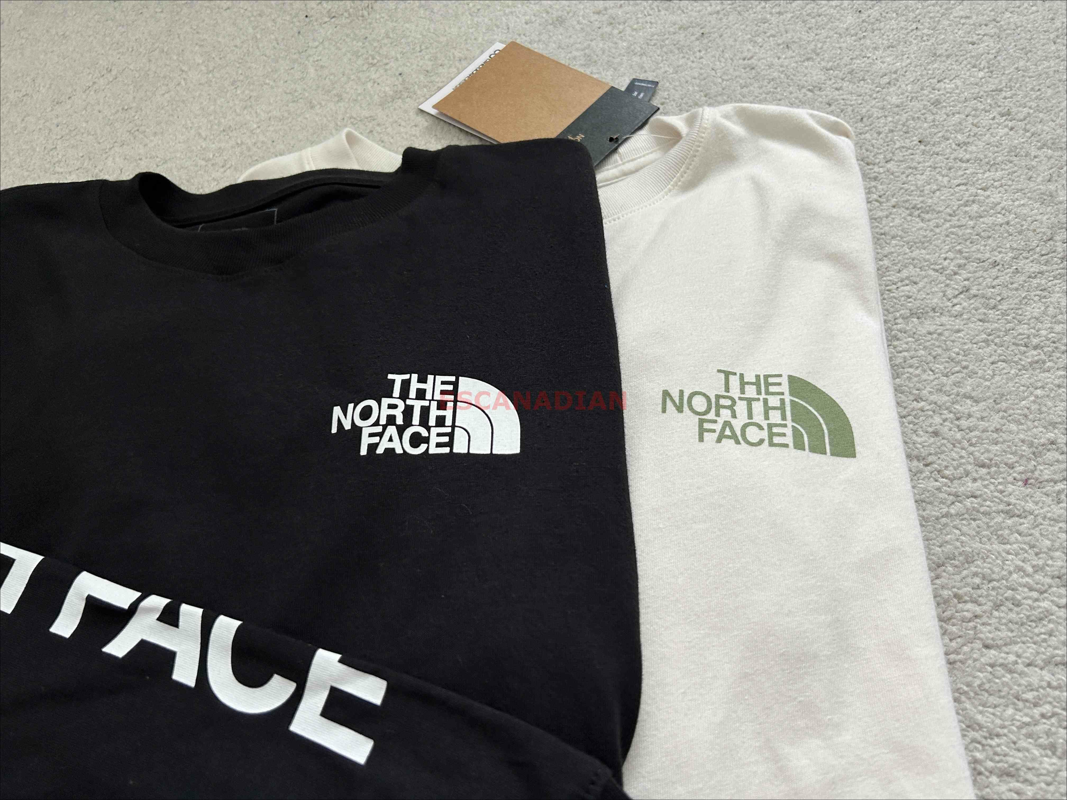 THE NORTH FACE 女大人 手臂字樣Logo 長TEE (2色)