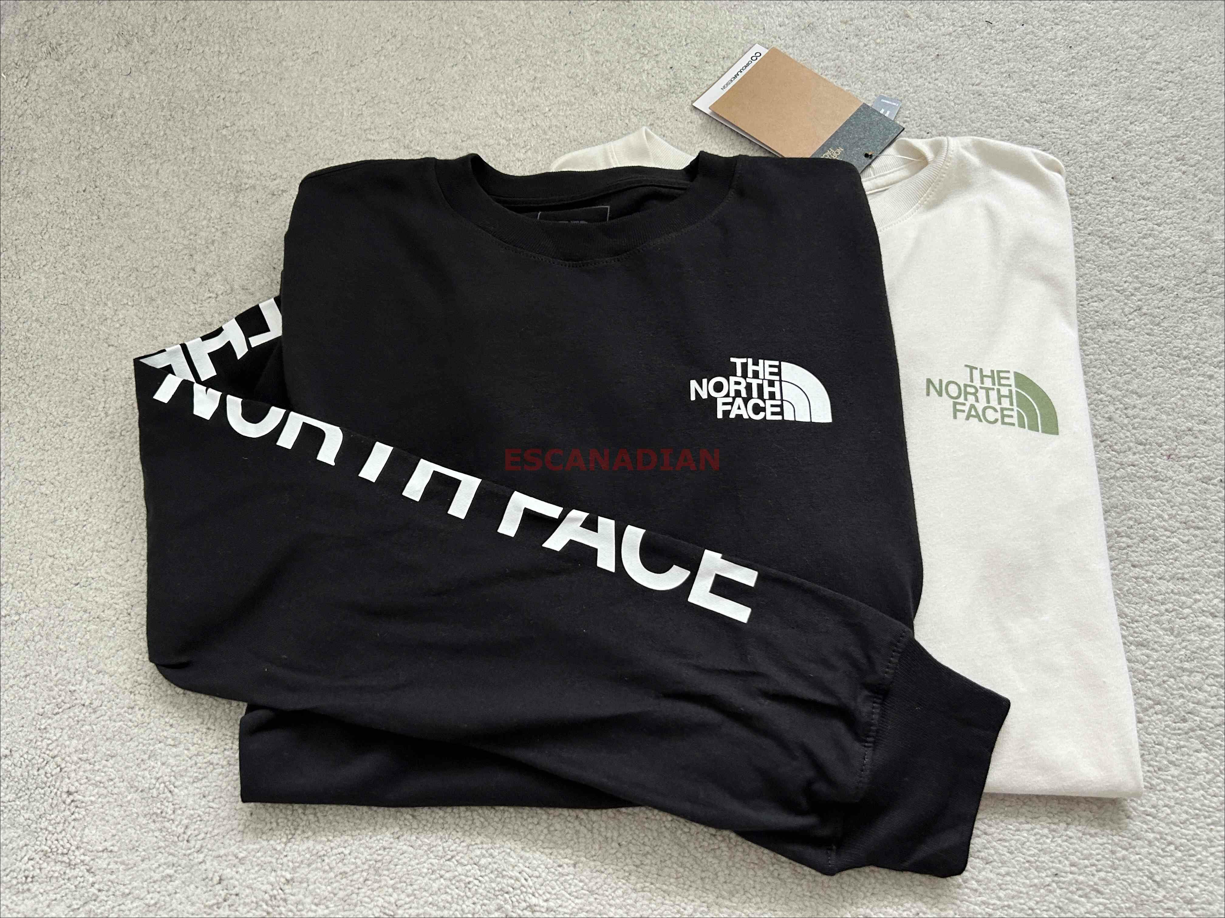 THE NORTH FACE 女大人 手臂字樣Logo 長TEE (2色)
