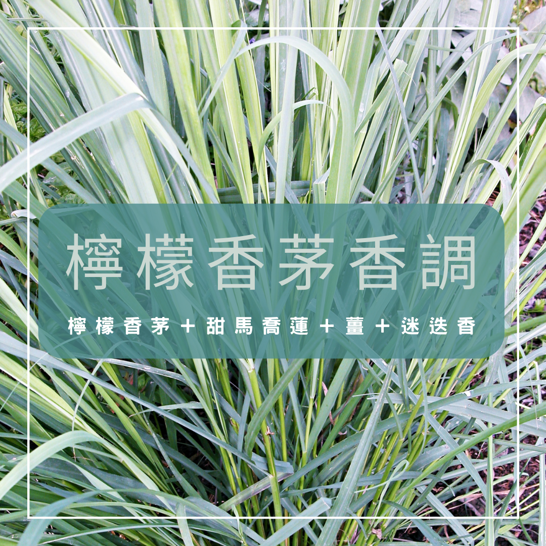 【檸檬香茅香調】肌肉關節複方精油配方（凝霜／按摩油 50ml）