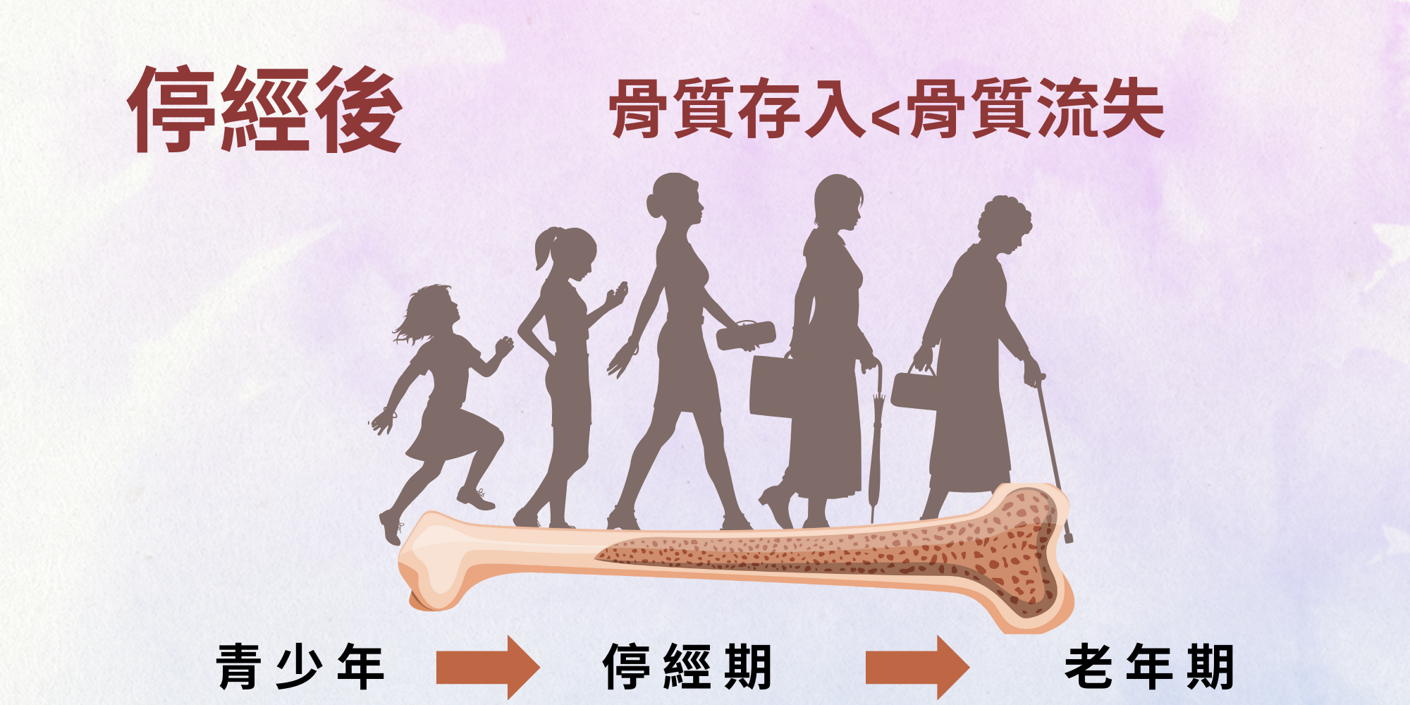 合田健康守護極品婦寶樂