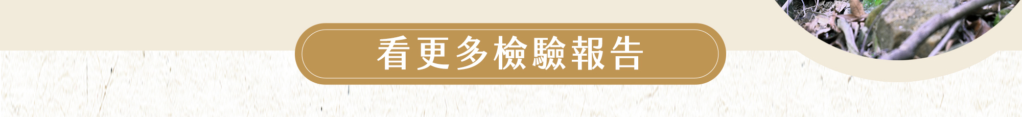 查看更多檢驗報告