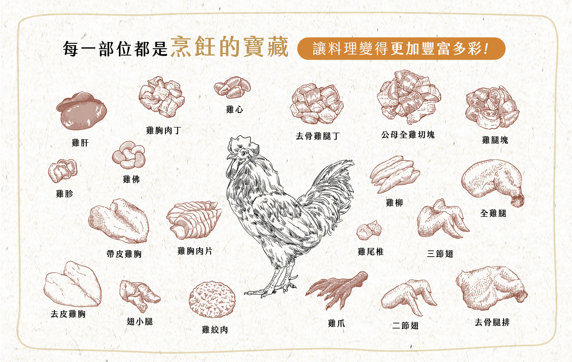 每一部位都是烹調的寶藏