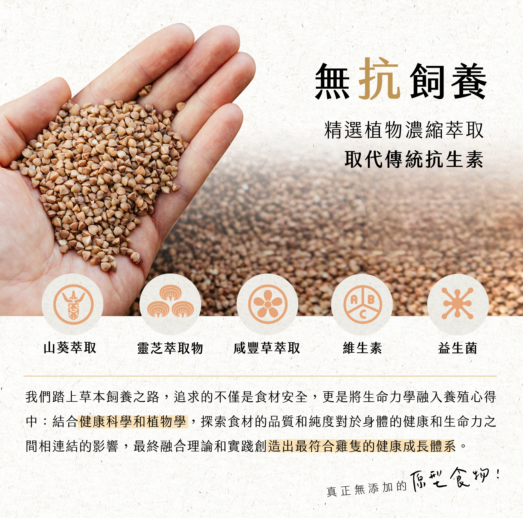 無抗養殖 精選植物濃縮萃取取代傳統抗生素